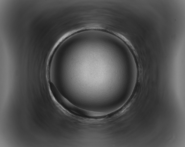 X0000085061342200703051431