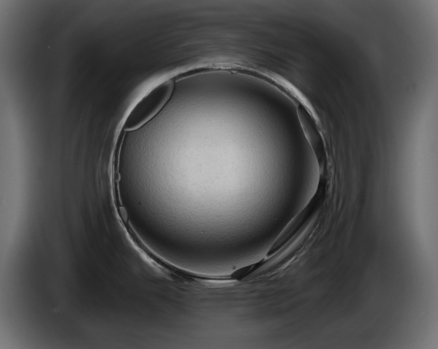 X0000085061343200703051431