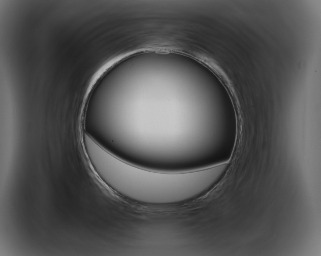 X0000085061344200703051431