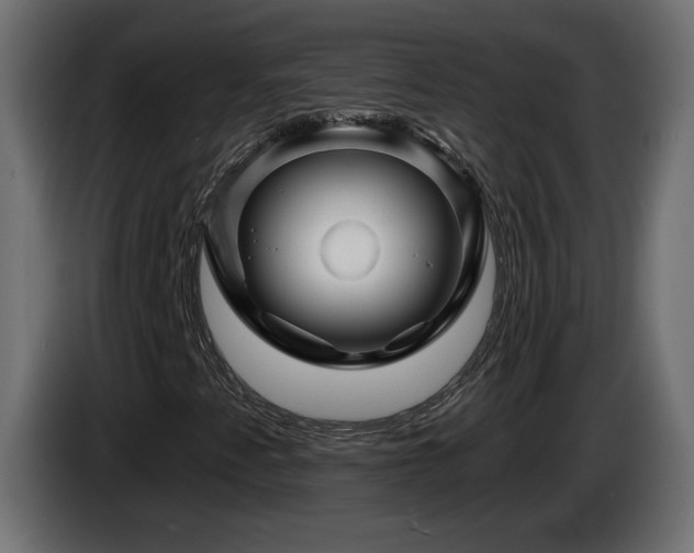 X0000085061345200703051430
