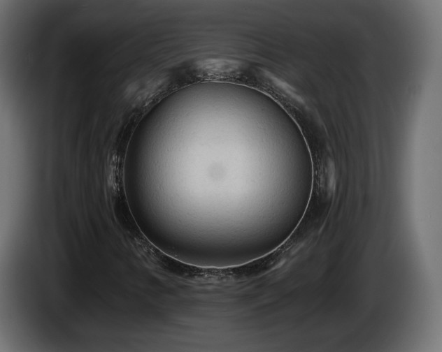 X0000085061346200703051430