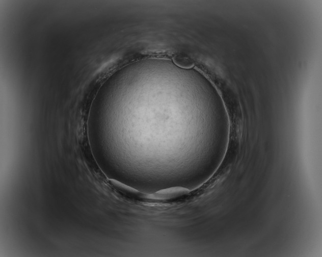 X0000085061350200703051430