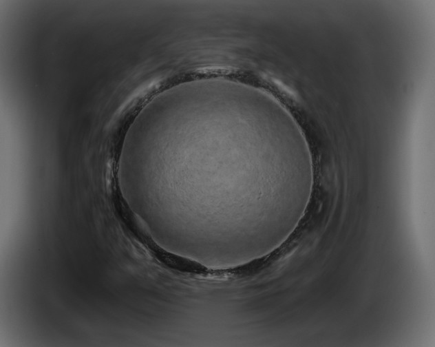 X0000085061351200703051430