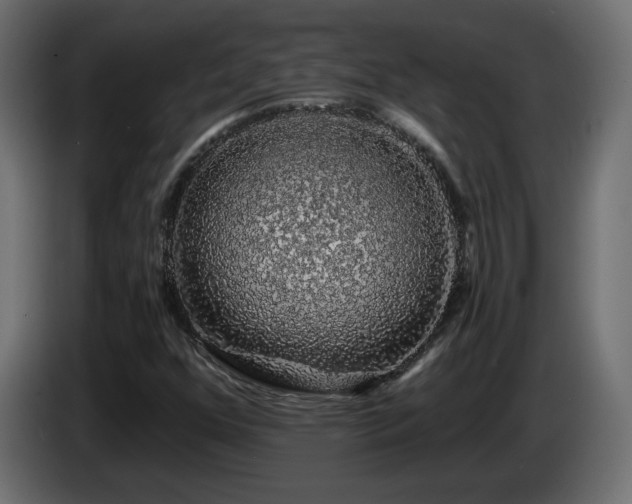 X0000085061352200703051430
