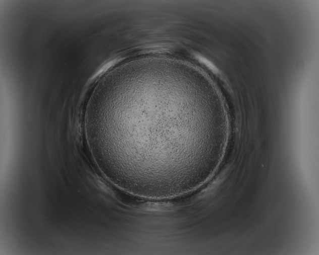 X0000085061354200703051430