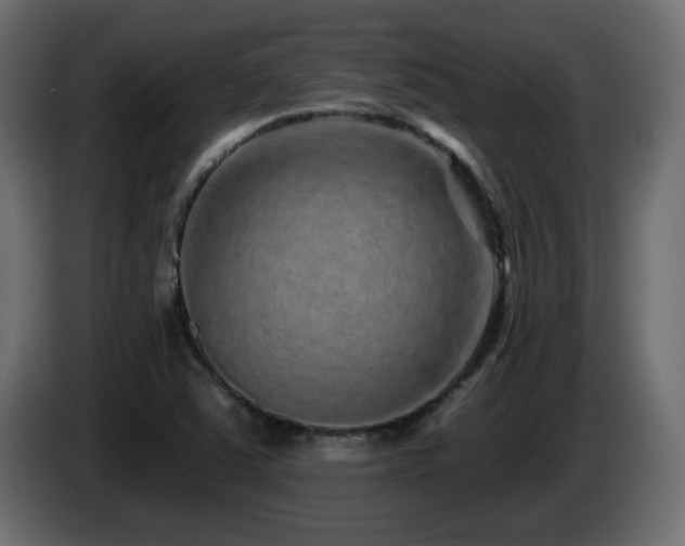 X0000085061363200703051430