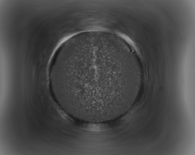 X0000085061364200703051430