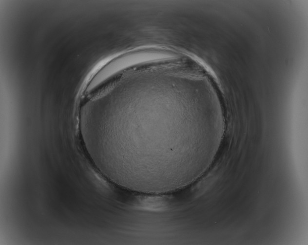 X0000085061367200703051430