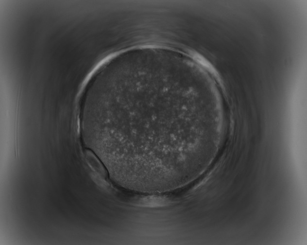 X0000085061368200703051430