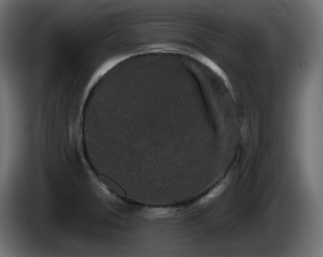 X0000085061373200703051429