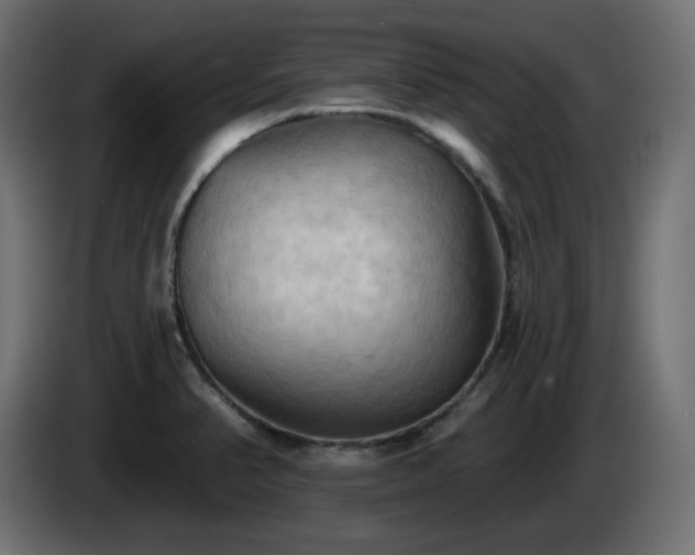 X0000085061374200703051429