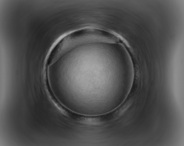 X0000085061375200703051429