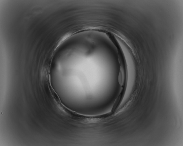 X0000085061377200703051429