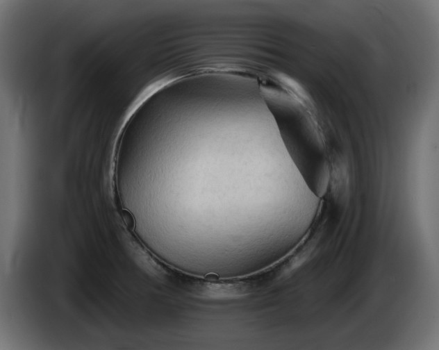 X0000085061378200703051429