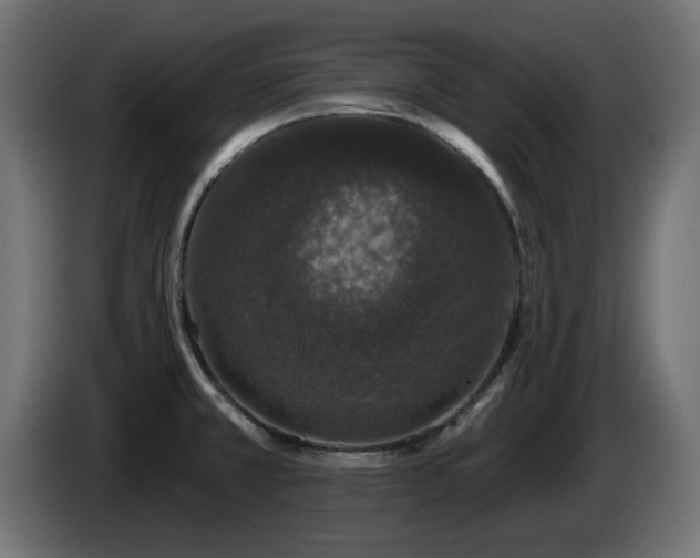 X0000085061381200703051429