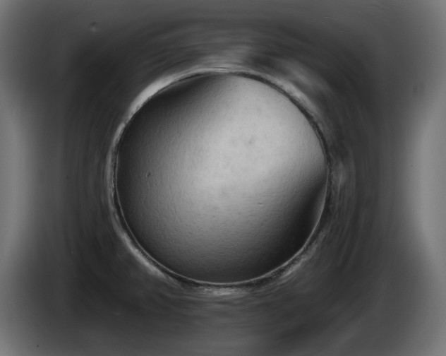 X0000085061382200703051429