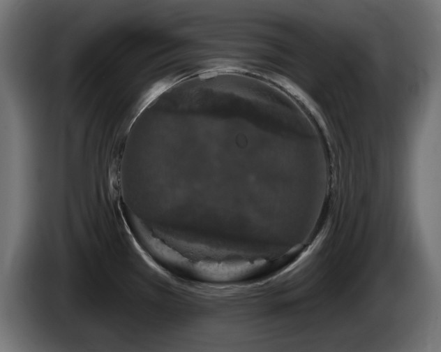 X0000085061385200703051429