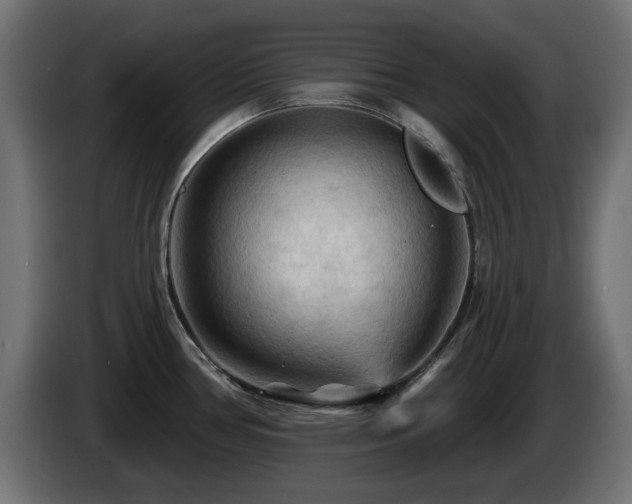 X0000085061386200703051429