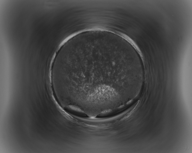 X0000085061388200703051429