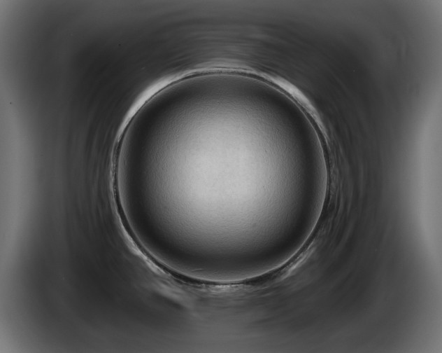 X0000085061390200703051429