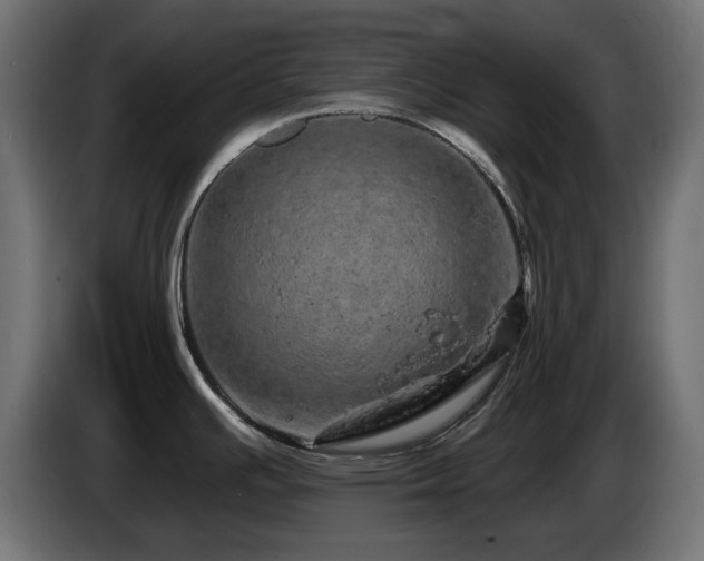 X0000085061391200703051429