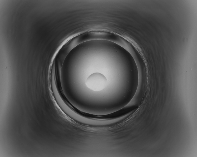 X0000085061392200703051429
