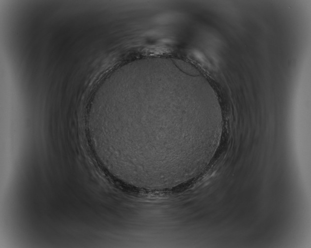 X0000085061393200703051429