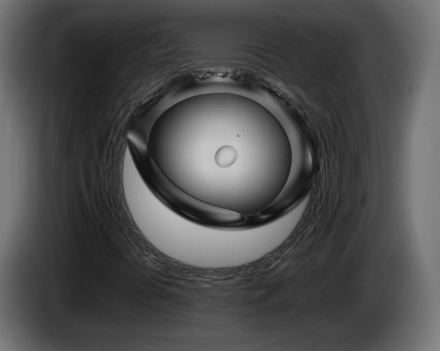 X0000085061394200703051429