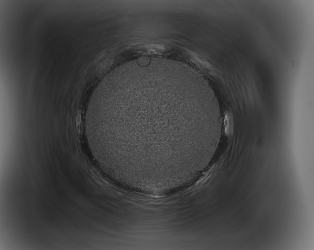 X0000085061395200703051429