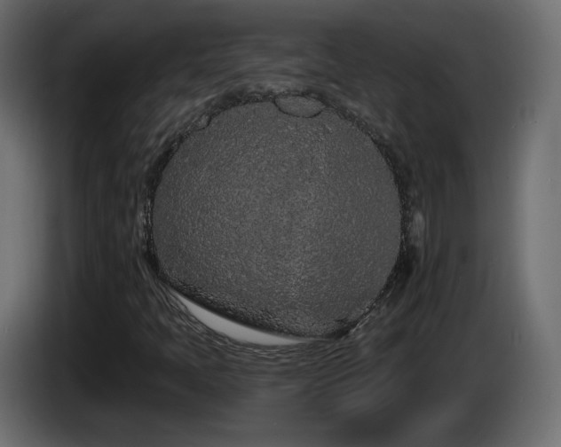 X0000085061397200703051429