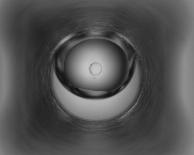 X0000085061402200703051429