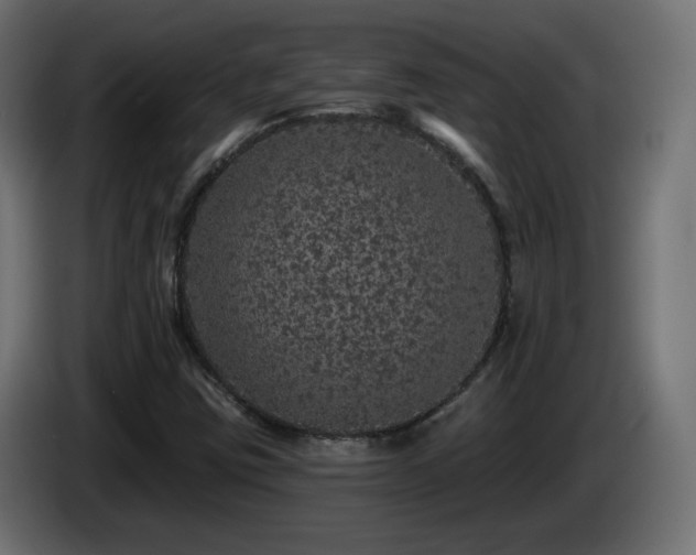 X0000085061403200703051429