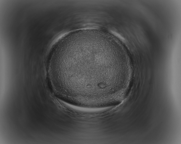 X0000085061407200703051429