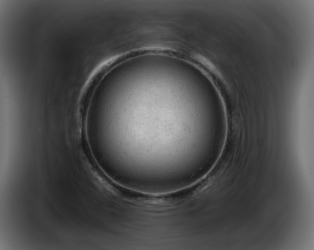 X0000085061408200703051429