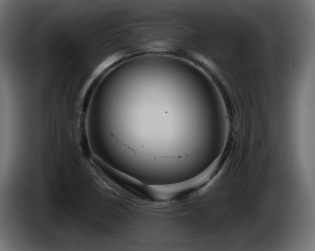 X0000085061410200703051429