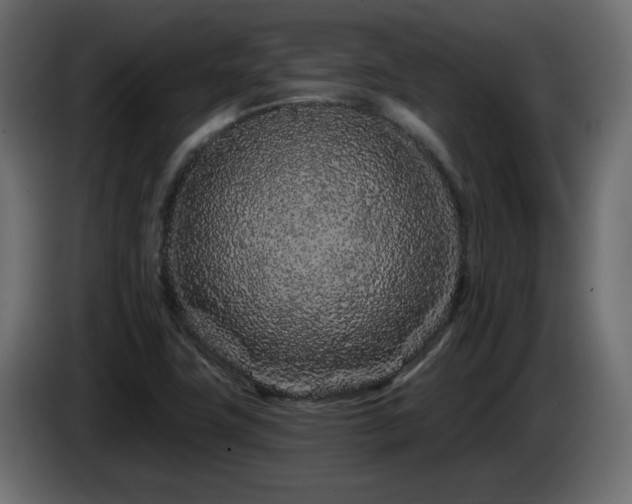 X0000085061411200703051429