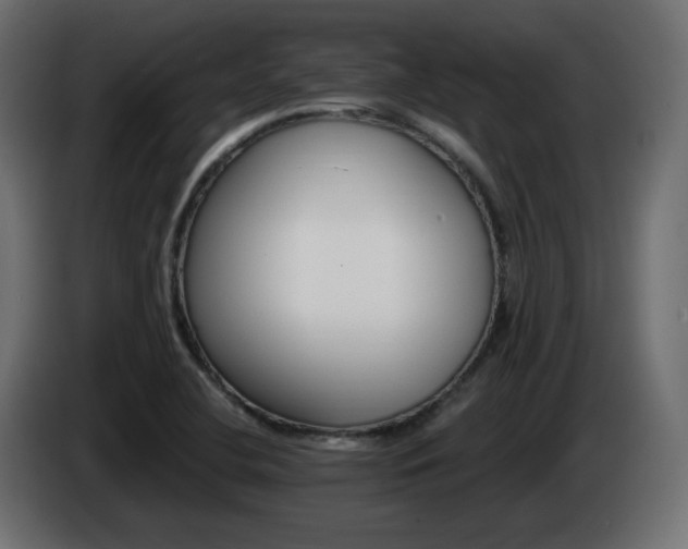 X0000085061412200703051429