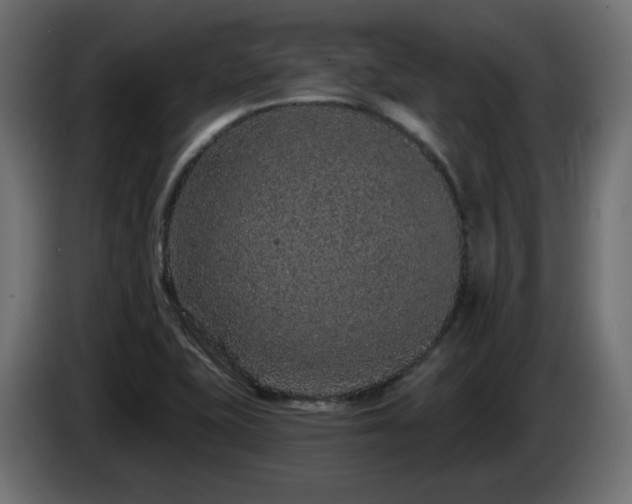 X0000085061415200703051429