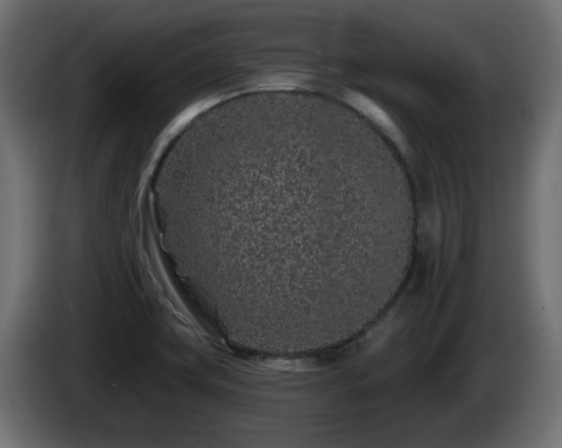 X0000085061419200703051429
