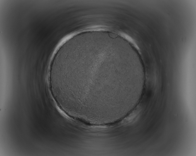 X0000085061421200703051429