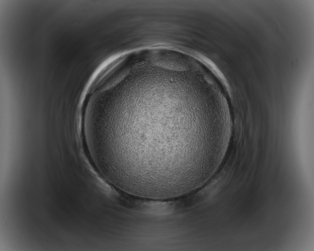 X0000085061424200703051429