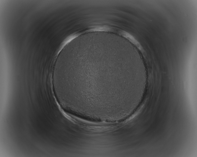 X0000085061425200703051429