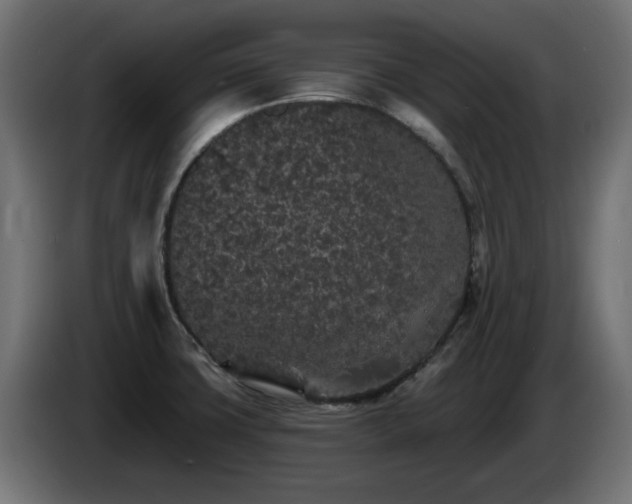 X0000085061427200703051429