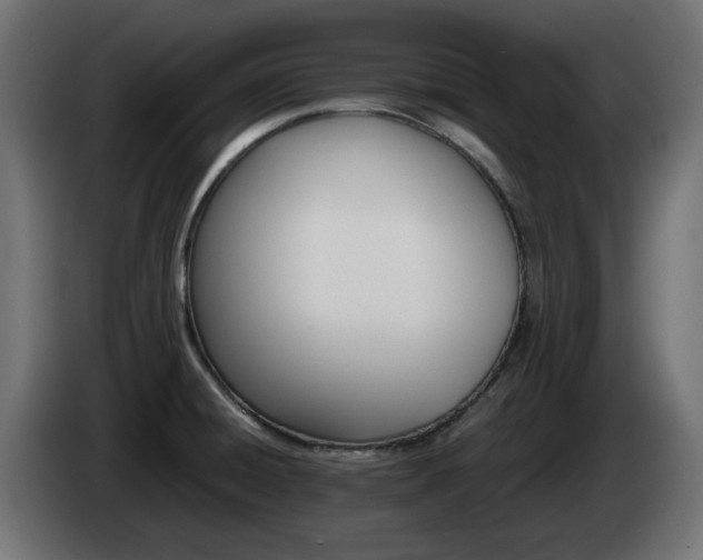 X0000085061428200703051429