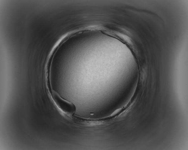 X0000085061430200703051429