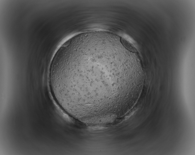 X0000085061431200703051429