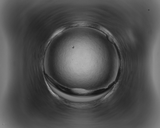 X0000085061433200703051429