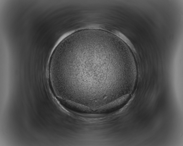 X0000085061436200703051429