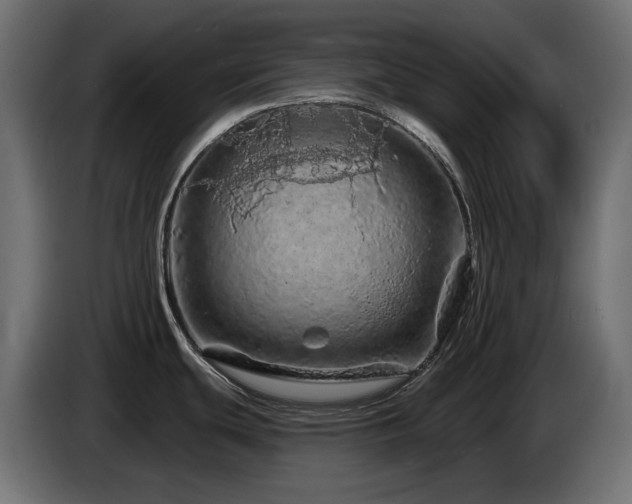 X0000085061439200703051429