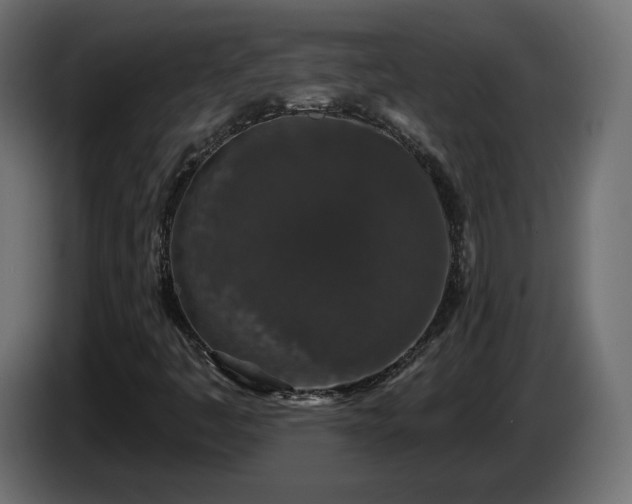 X0000085061445200703051429